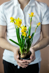 A bouquet of yellow daffodils in the hands of a young man. A male florist has collected a bouquet. Beautiful spring white flowers. Holiday gift. Spring mood. 