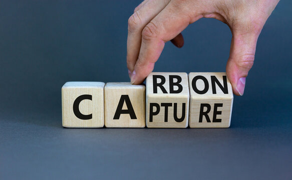 Carbon capture symbol. Businessman turns wooden cubes and changes the concept word Carbon to Capture. Beautiful grey table grey background. Business ecological carbon capture concept. Copy space.