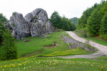 Road in Dajti mountains in Albania