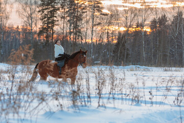 Obraz premium A girl in a white cloak rides a brown horse in winter.