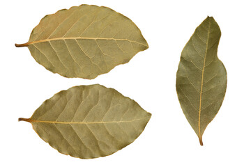 Macro photo of dried bay leaves on isolated white background. Laurel leaf and laurus nobilis.