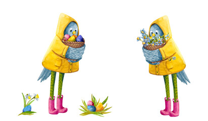 Watercolor funny chicken characters with eggs and narcissus in a yellow raincoat and rain boots. Cute Easter holidays set with birds on white background.