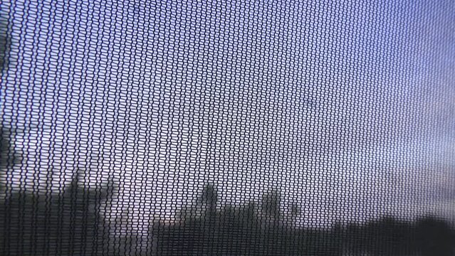 Mosquitoes fly in front of a protective mosquito net (insect screen)