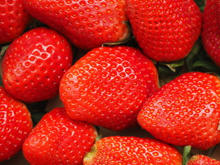 DELICIOUS STRAWBERRIES FROM HUELVA IN SPAIN NATURAL SEASONAL