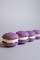 purple macarons in line