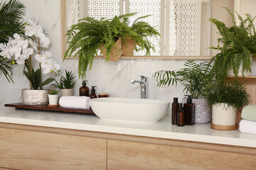 Counter with sink and many different houseplants near white marble wall © New Africa