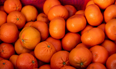 fruits from warm countries