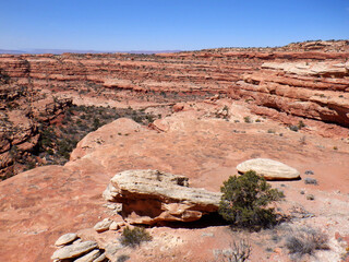 Slick rock, sandstone canyon vista, in the Bears Ears wilderness area of Southern Utah.  