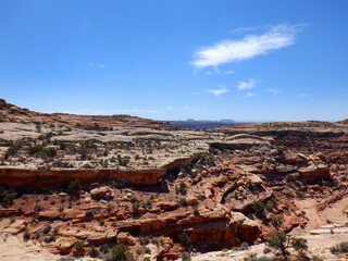 Slick rock, sandstone canyon vista, in the Bears Ears wilderness area of Southern Utah.  