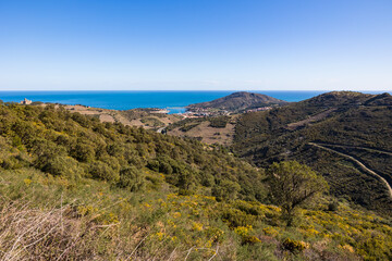 Fototapeta premium Vue sur Port-Vendres, le Fort Saint-Elme et la Côte Vermeille depuis les terres (Occitanie, France)