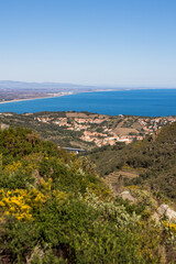 Fototapeta na wymiar Vue sur Collioure et sa baie au bord de la Méditerranée depuis le Massif des Albères (Occitanie, France)