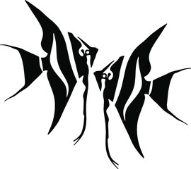 Illustration of a scalar. Aquarium tropical fish. An animal from a river or lake. Vector