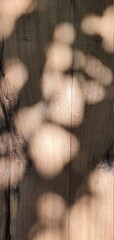 shadows over wood texture