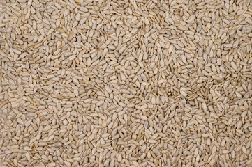 A pattern of peeled sunflower seeds.Background of sunflower seeds