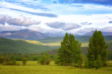 Fototapeta na wymiar Summer landscape with trees and mountains. Eastern Sayans, Buryatia, Russia