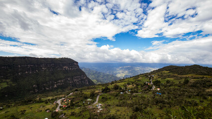 landscape in the summer