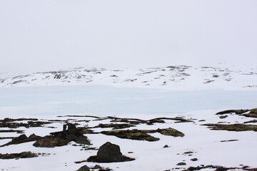 snow and ice in the mountains - Hardangervidda