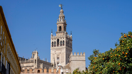 Fototapeta na wymiar Bell tower of the cathedral of Seville