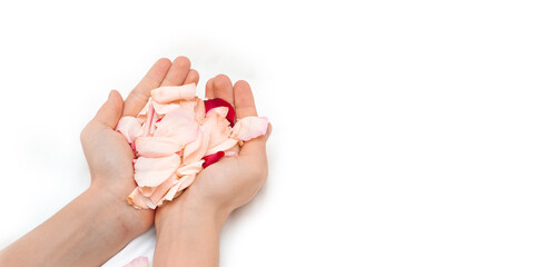 Rose petals in the hands on a white background. Heart in hand on Valentine's Day.