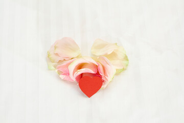 Rose on a white background with a heart. A gift for Valentine's days.