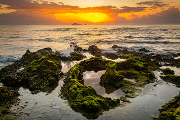 sunset landscape on the beach rocks in foreground