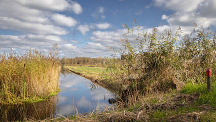 ditch between reeds in nature reserve Alde Feanen in Friesland