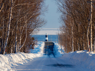 能取岬 © makieni