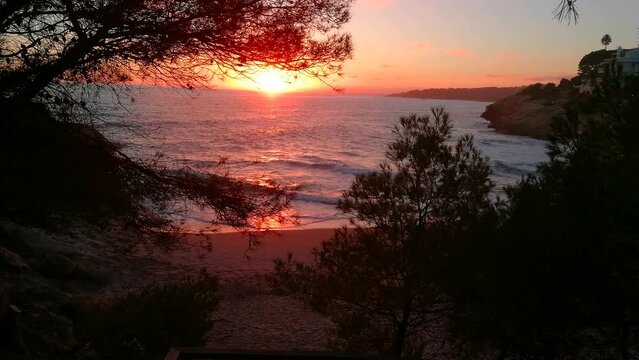 Beautiful sunset on small beach or sea creek framed between pines