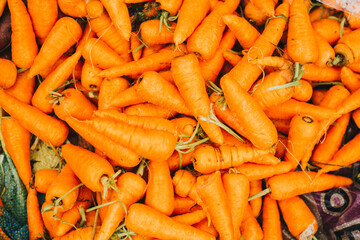Zanahoria amontonada en mercado de Perú