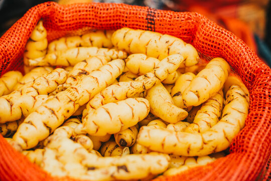 Mashua t&iacute;pico alimento en los andes de Peru