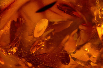 Close up view of natural translucent amber.