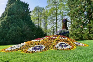 Peacock figure made of colorful flowers on Mainau island, Lake of Constance, Germany.