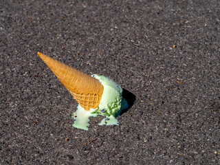 Mint Chocolate Chip Ice Cream cone melting after being dropped onto the ground.