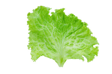 Lettuce. Salad leaf isolated on white background with clipping path.