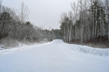 Obraz premium Snowy path in Willsboro Point NY after a snow storm
