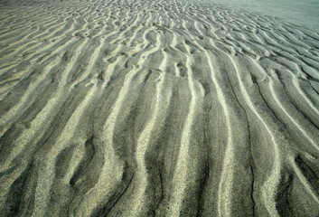 Sand Ripples 3652