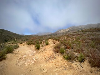 Backbone Trail leading through Santa Monica Mountains with low clouds, Southern California