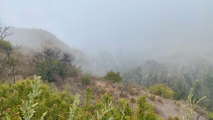 Fototapeta premium Fog covered landscape on the Backbone Trail hiking path through Santa Monica Mountains, Southern California, early morning