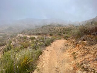 Hiking path leading into mist and fog on the Backbone Trail leading through Santa Monica Mountains, Southern California