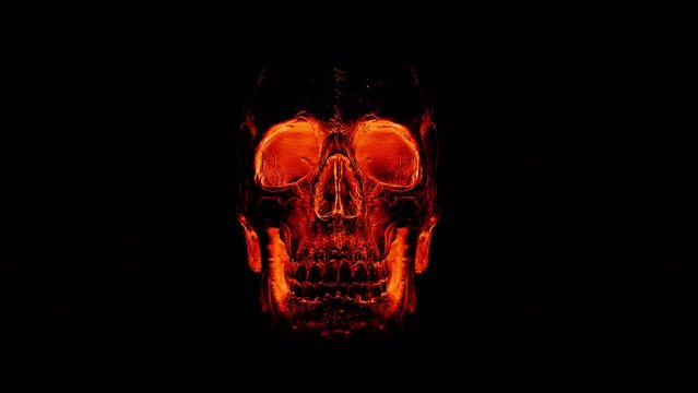 Fear of death and the threat of destruction. Red isolated skull alpha channel.