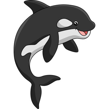 Killer Whale Cartoon Colored Clipart Illustration