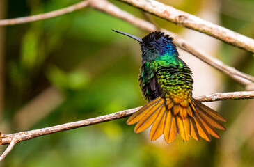 Vistas de la región Arequipa © Lenin