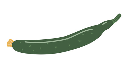 Vector isolated element. Cucumber. Vegetables. Gardening. Springtime. Color image on a white background. The print is used for packaging design.