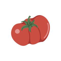 Vector isolated element. Tomatoes. Vegetables. Gardening. Springtime. Color image on a white background. The print is used for packaging design.