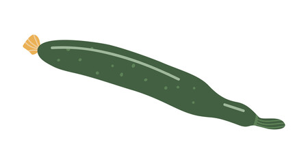 Vector isolated element. Cucumber. Vegetables. Gardening. Springtime. Color image on a white background. The print is used for packaging design.