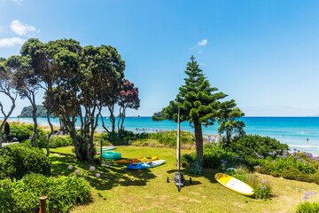 View from the backyard of a bach in Whangamata beach in New Zealand