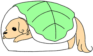 柏餅クッションに包まれてのんびりするダックスフンド