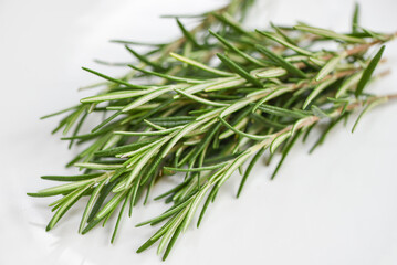 rosemary herb, fresh rosemary on white background