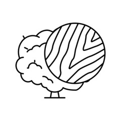 walnut wood line icon vector illustration