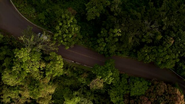 Tropical Mountain Sunset of a Car Driving on Tantalus on Oahu, Hawaii